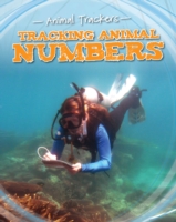 Tracking Animal Numbers