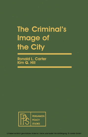 Criminal's Image of the City