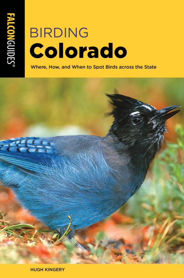 Birding Colorado