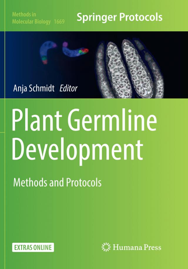 Plant Germline Development