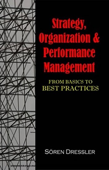 Strategy, Organization and Performance Management: From Basics to Best Practices