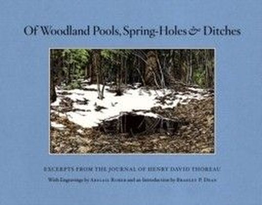 Of Woodland Pools, Spring-Holes and Ditches