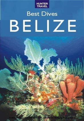 Best Dives of Belize