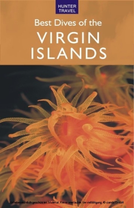 Best Dives of the Virgin Islands