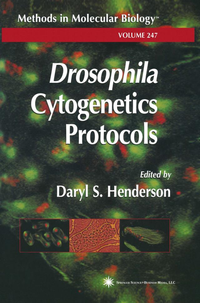 Drosophila Cytogenetics Protocols