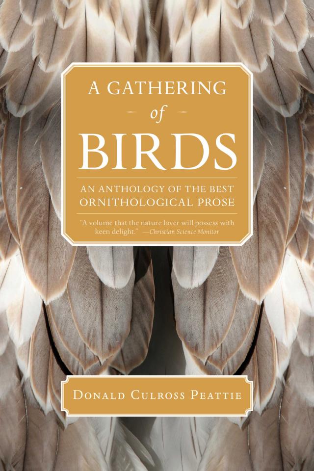 A Gathering of Birds