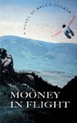 Mooney In Flight