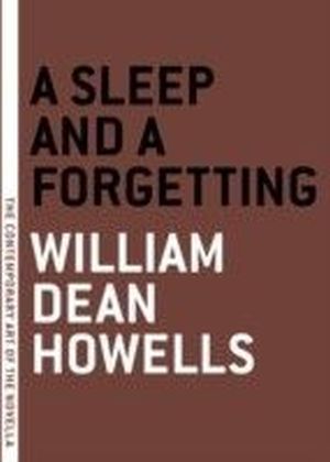Sleep and a Forgetting
