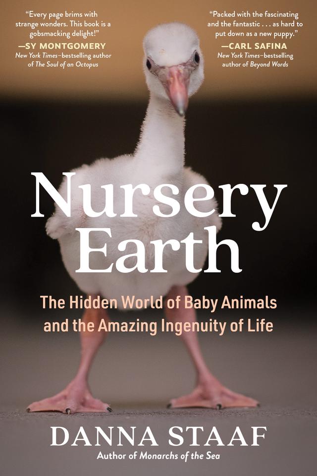 Nursery Earth: The Hidden World of Baby Animals and the Amazing Ingenuity of Life