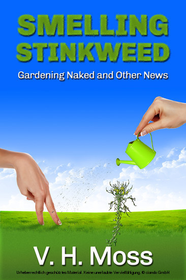 Smelling Stinkweed