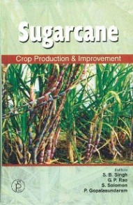 Sugarcane Crop Production Improment