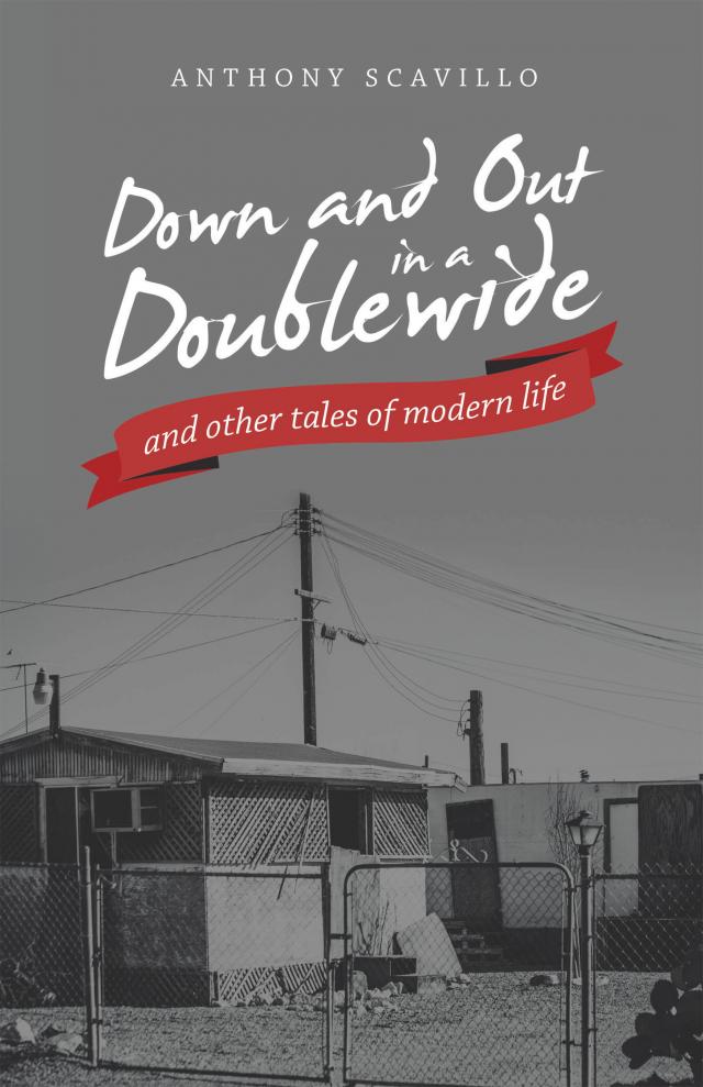 Down and out in a Doublewide and Other Tales of Modern Life