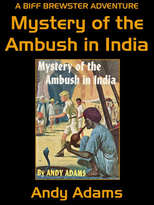 Mystery of the Ambush in India