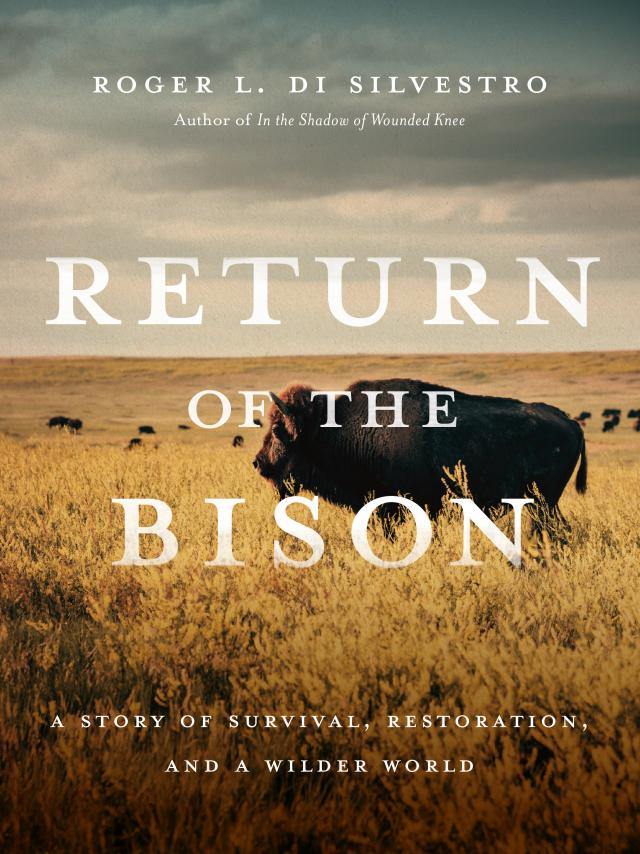 Return of the Bison