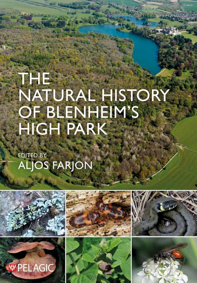 The Natural History of Blenheim’s High Park