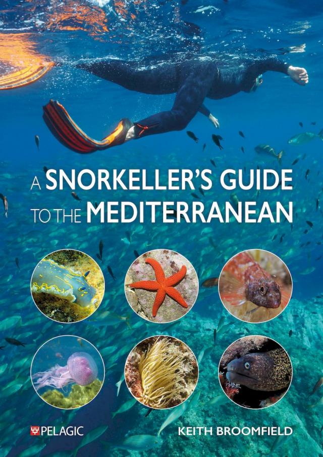 A Snorkeller’s Guide to the Mediterranean