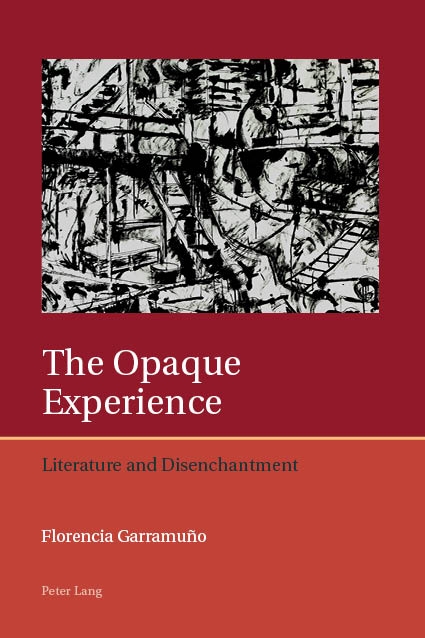 The Opaque Experience