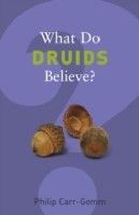 What Do Druids Believe?