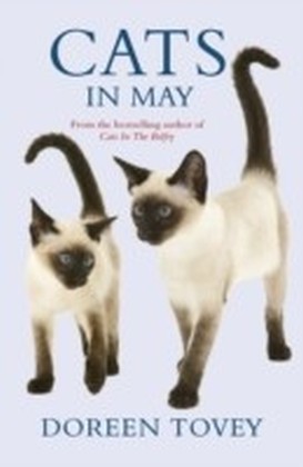 Cats In May