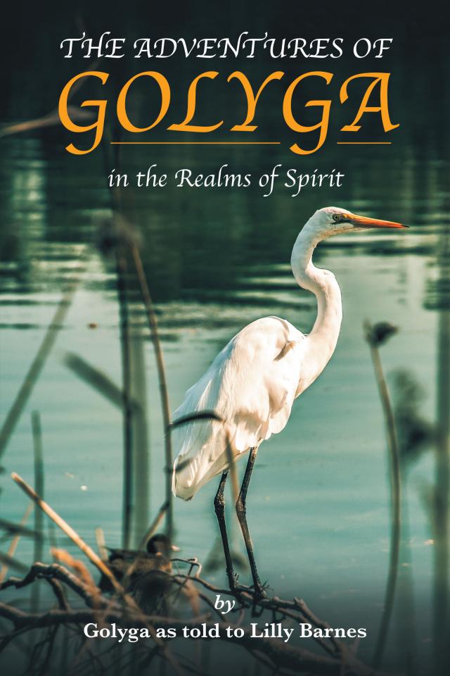 The Adventures of Golyga