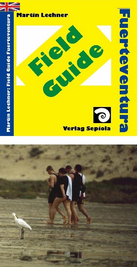 Fuerteventura Field Guide