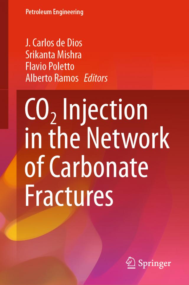 CO2 Injection in the Network of Carbonate Fractures