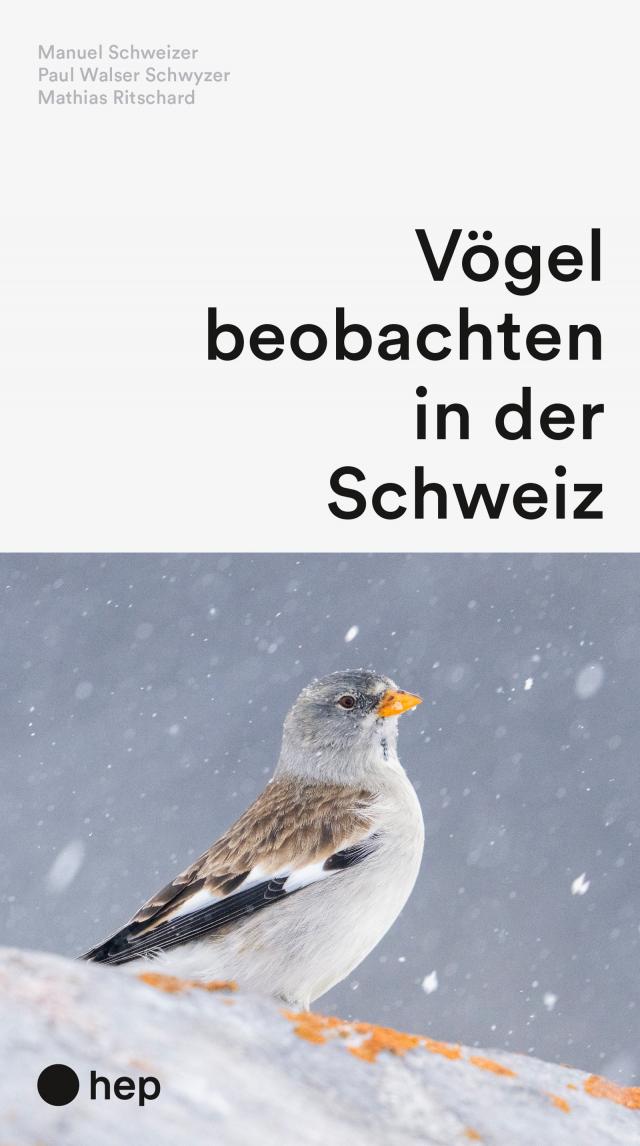 Vögel beobachten in der Schweiz (Neuauflage)