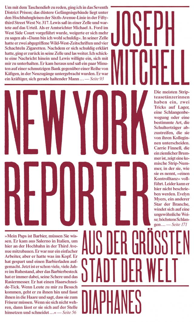 New York Reporter
