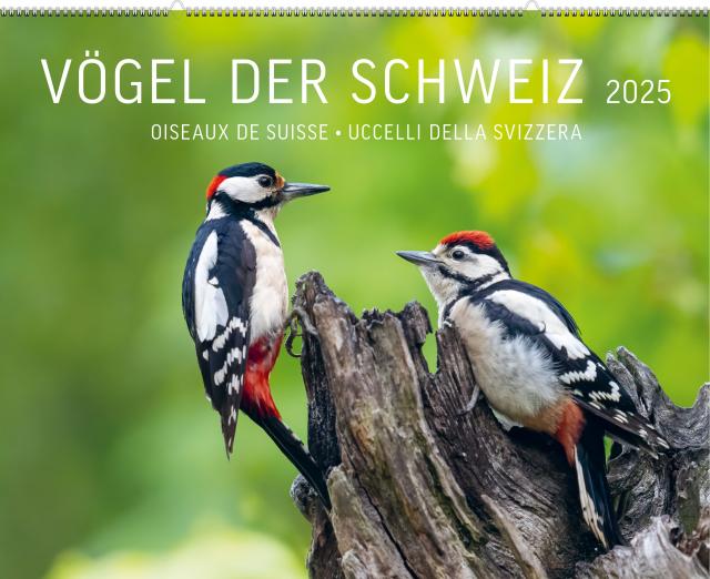 Vögel der Schweiz 2025