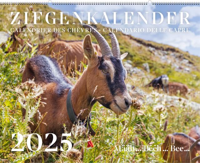 Ziegenkalender / Calendrier des chèvres / Calendario delle capre 2025