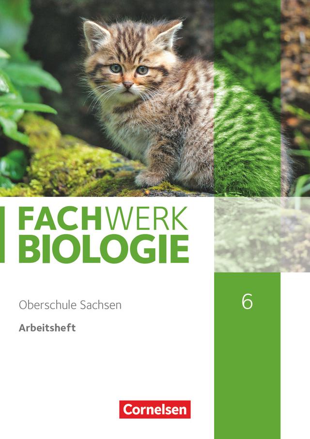 Fachwerk Biologie - Sachsen - 6. Schuljahr