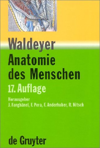 Waldeyer - Anatomie des Menschen