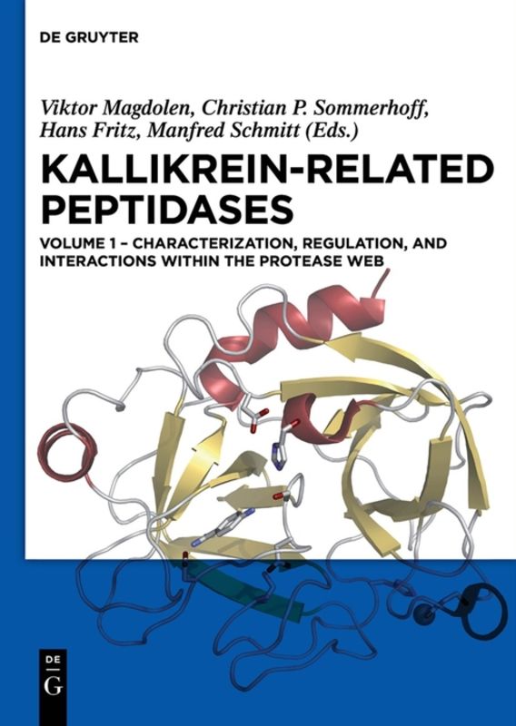 Kallikrein-related peptidases / Characterization, regulation, and interactions within the protease web