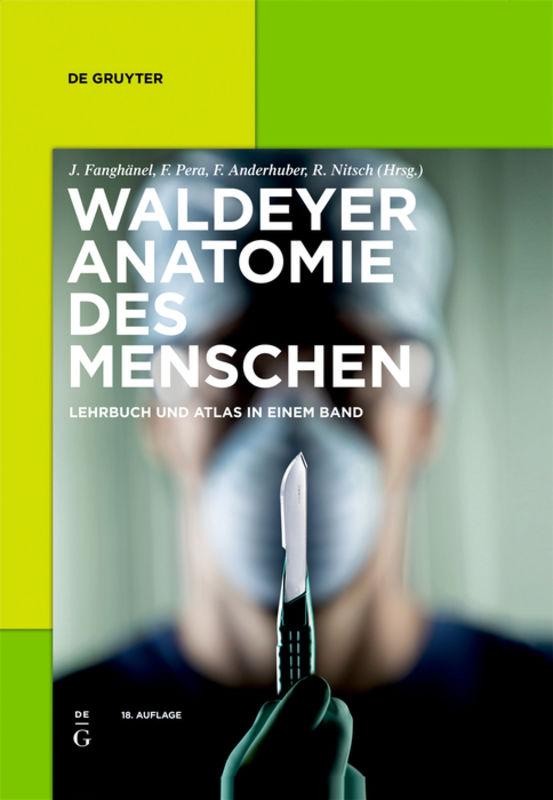 Waldeyer – Anatomie des Menschen