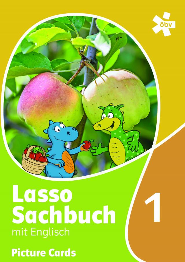 Lasso Sachbuch mit Englisch 1 NEU (2018) - Picture Cards