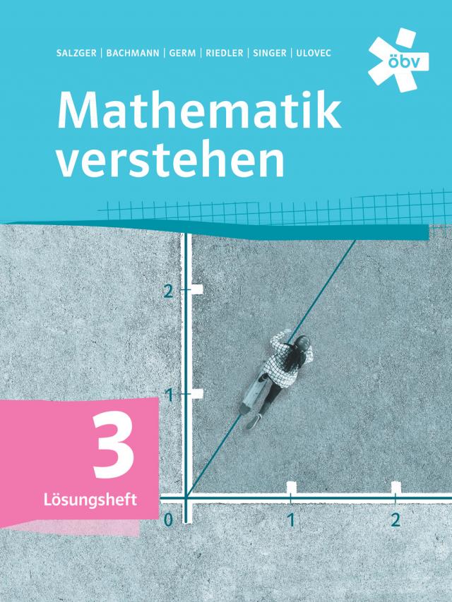 Mathematik verstehen 3, Lösungen