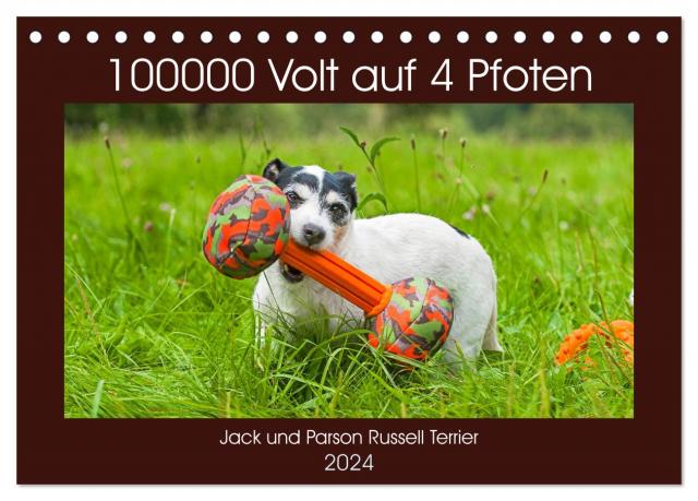 100000 Volt auf vier Pfoten - Jack und Parson Russell Terrier (Tischkalender 2024 DIN A5 quer), CALVENDO Monatskalender