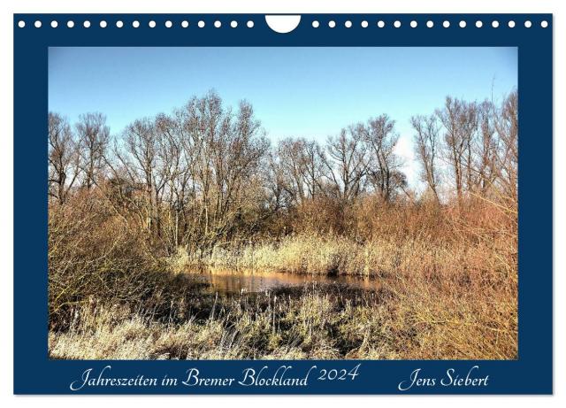 Jahreszeiten im Bremer Blockland (Wandkalender 2024 DIN A4 quer), CALVENDO Monatskalender