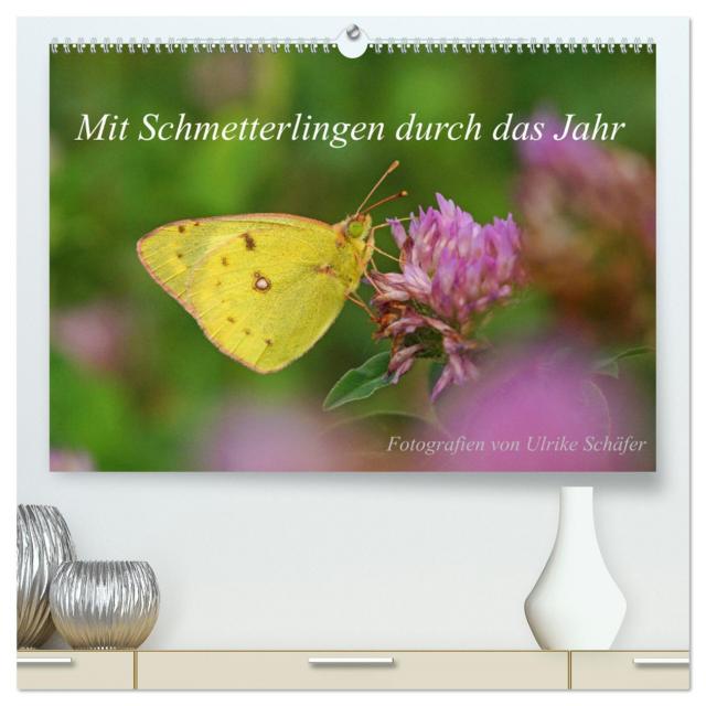 Mit Schmetterlingen durch das Jahr (hochwertiger Premium Wandkalender 2024 DIN A2 quer), Kunstdruck in Hochglanz