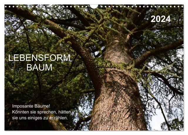 Lebensform Baum (Wandkalender 2024 DIN A3 quer), CALVENDO Monatskalender