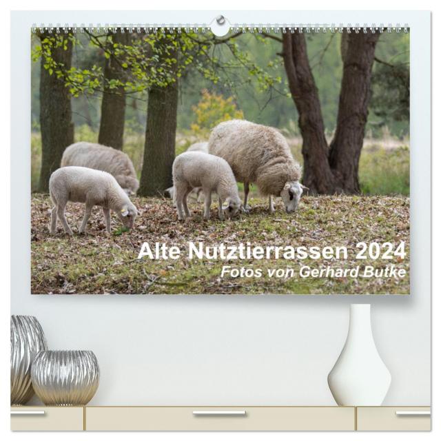Alte Nutztierrassen 2024 (hochwertiger Premium Wandkalender 2024 DIN A2 quer), Kunstdruck in Hochglanz