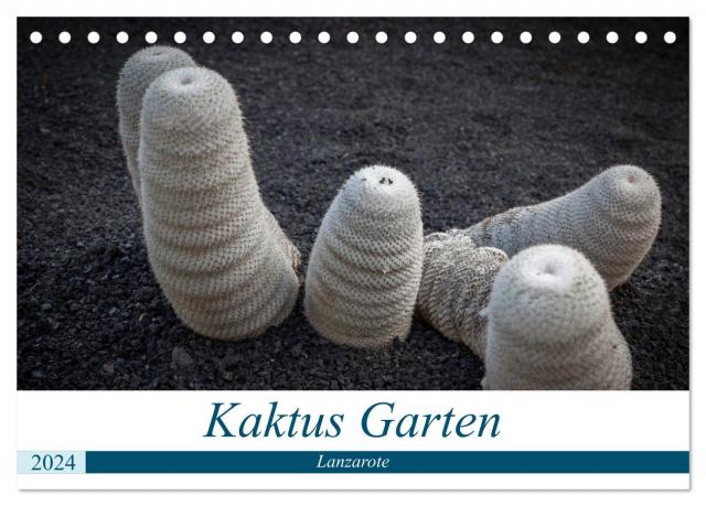 Kaktus Garten Lanzarote (Tischkalender 2024 DIN A5 quer), CALVENDO Monatskalender