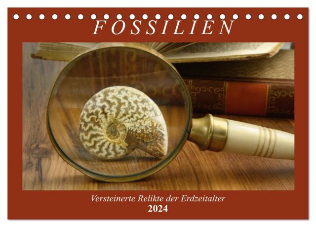 Fossilien - Versteinerte Relikte der Erdzeitalter (Tischkalender 2024 DIN A5 quer), CALVENDO Monatskalender