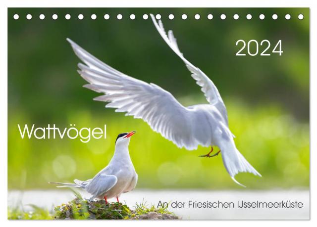 Wattvögel an der Friesischen IJsselmeerküste (Tischkalender 2024 DIN A5 quer), CALVENDO Monatskalender