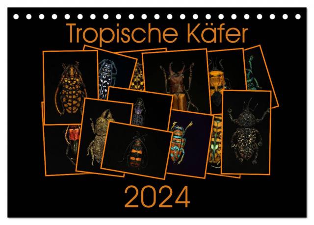 Tropische Käfer (Tischkalender 2024 DIN A5 quer), CALVENDO Monatskalender