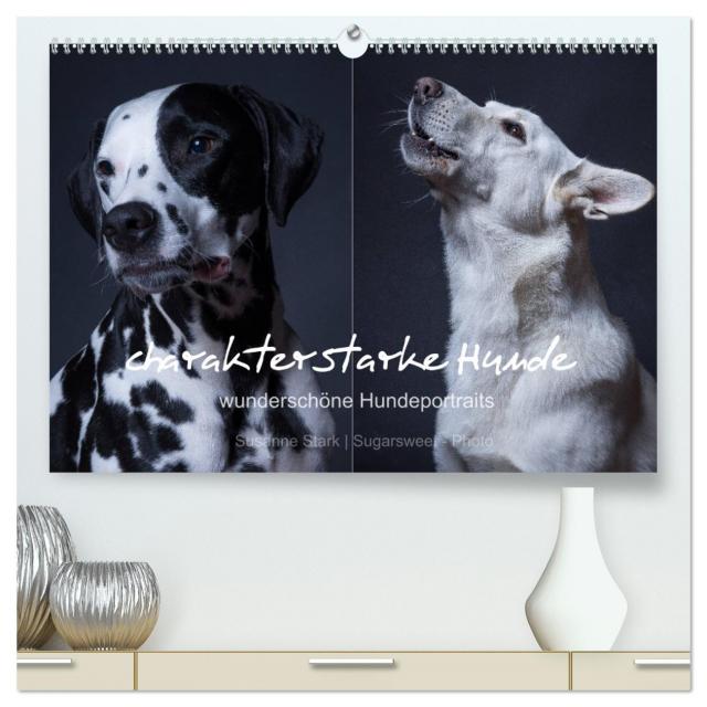 charakterstarke Hunde, wunderschöne Hundeportraits (hochwertiger Premium Wandkalender 2024 DIN A2 quer), Kunstdruck in Hochglanz