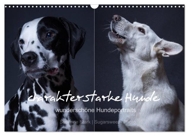 charakterstarke Hunde, wunderschöne Hundeportraits (Wandkalender 2024 DIN A3 quer), CALVENDO Monatskalender