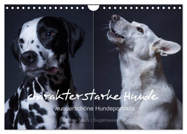 charakterstarke Hunde, wunderschöne Hundeportraits (Wandkalender 2024 DIN A4 quer), CALVENDO Monatskalender