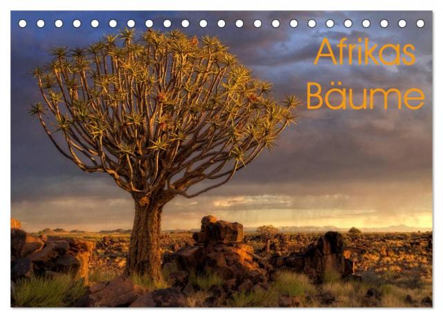Afrikas Bäume (Tischkalender 2024 DIN A5 quer), CALVENDO Monatskalender