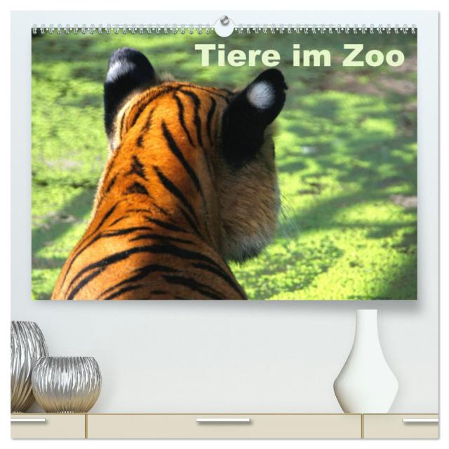 Tiere im Zoo (hochwertiger Premium Wandkalender 2024 DIN A2 quer), Kunstdruck in Hochglanz